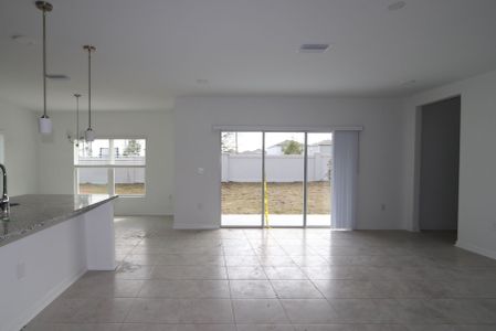 New construction Single-Family house 38350 Tobiano Loop, Dade City, FL 33525 Cabo- photo 111 111