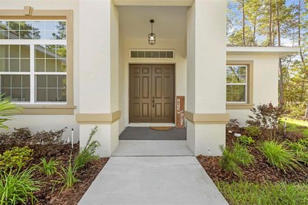 New construction Single-Family house 7 Sedum Ct, Homosassa, FL 34446 - image