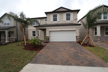 New construction Single-Family house 4877 Foxglove Cir, Lakeland, FL 33811 Alenza- photo 107 107