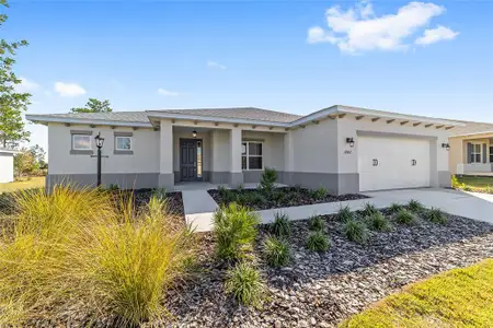 New construction Single-Family house 10002 Sw 106Th Cir, Ocala, FL 34481 - image