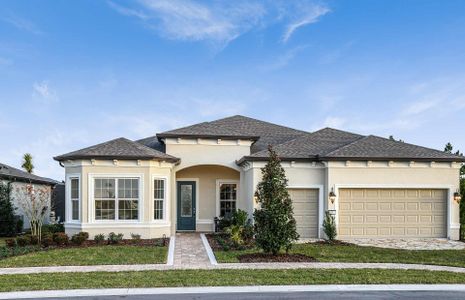 New construction Single-Family house 6320 Sw 89Th Court Rd, Ocala, FL 34481 null- photo 0