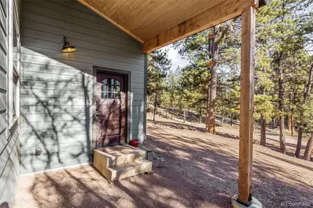 New construction Single-Family house 2270 Pikes Peak Dr, Florissant, CO 80816 - image