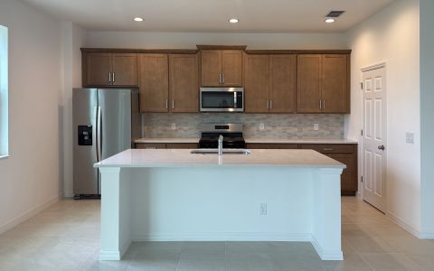 New construction Single-Family house 6871 Spanish Imperial St, Howey-in-the-Hills, FL 34737 plan DeLeon - image 7