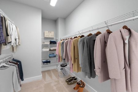 The Carsten - Owner's Closet