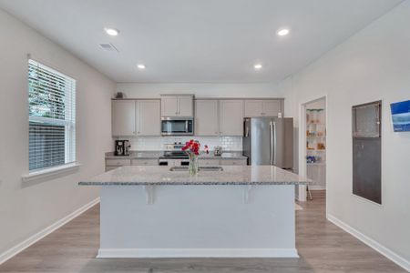 New construction Single-Family house 432 Blue Elderberry, Moncks Corner, SC 29461 null- photo 16 16