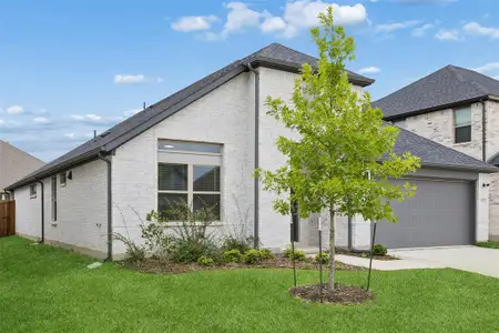 New construction Single-Family house 361 Silver Springs Ln, Lavon, TX 75166 - image