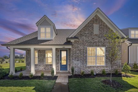 New construction Single-Family house 4824 Lyla, Collierville, TN 38017 plan Webster - image