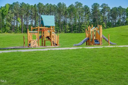 New construction Single-Family house 1565 Goldfinch Perch Ln, Knightdale, NC 27545 Virginia- photo 57 57