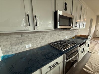 New construction Single-Family house 284 Denali Wy, Dripping Springs, TX 78620 Travis- photo 13 13