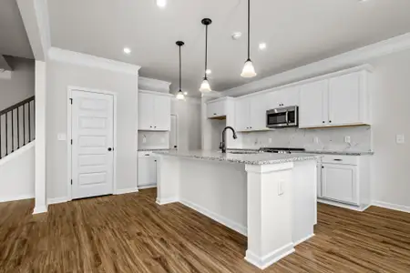 New construction Single-Family house 117 Townsend Wy, Unit 229, Chapel Hill, TN 37034 plan The Harrington - image 4