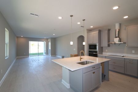 New construction Single-Family house 31229 Denham Ridge Ln, Wesley Chapel, FL 33545 Newport II- photo 47 47