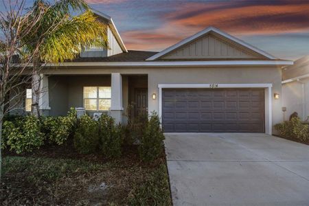 New construction Single-Family house 5814 Stockport St, Riverview, FL 33578 - photo 0