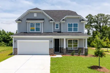 New construction Single-Family house 336 Palfrey Dr, Ridgeville, SC 29472 plan Davidson - image
