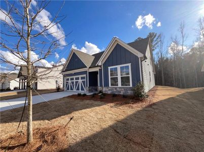 New construction Single-Family house 8 Mayhaw Pt, Sharpsburg, GA 30277 - image
