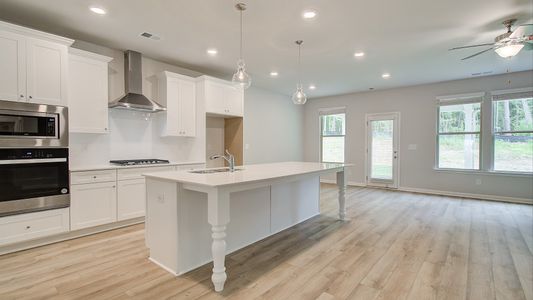 New construction Single-Family house 823 Babbs Mill Rd, Hampton, GA 30228 plan Rainier - image 7