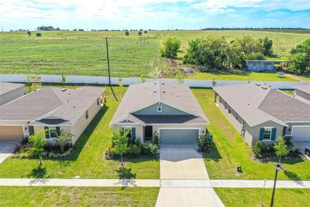 New construction Single-Family house 148 Hilltop Bloom Lp, Haines City, FL 33844 - image