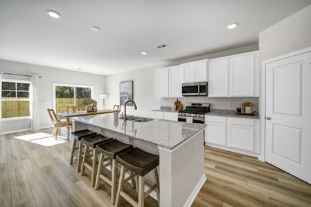 New construction Single-Family house 9039 Wafer Ash Bnd Nw, Aiken, SC 29801 plan Cooper - image 8