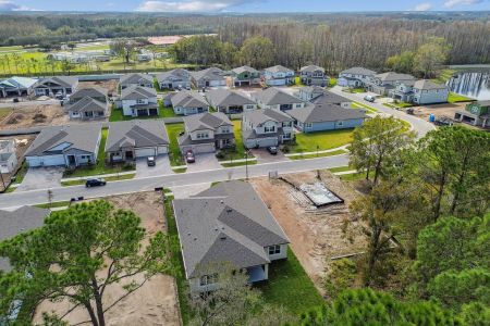 New construction Single-Family house 20219 Oriana Loop, Land O' Lakes, FL 34638 Corina  III- photo 143 143