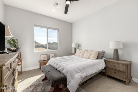 New construction Single-Family house 667 W Patrick Pl, San Tan Valley, AZ 85143 - image 13