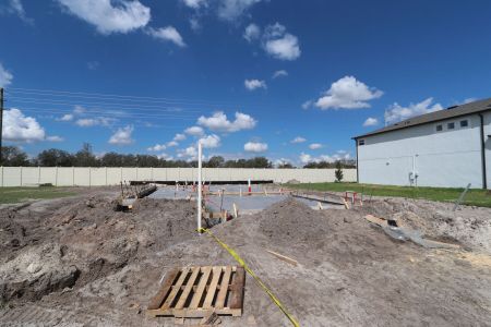 New construction Single-Family house 3023 Misty Marble Dr, Zephyrhills, FL 33540 Castellana- photo 6 6