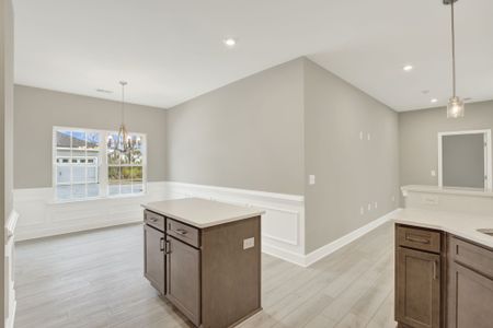 New construction Single-Family house 265 James Dr, Richmond Hill, GA 31324 plan Aspen - image 10