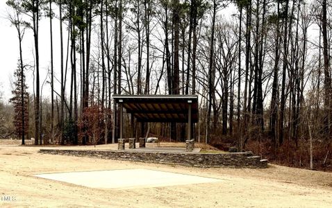 New construction Single-Family house 60 Falls Of The Cape Dr, Lillington, NC 27546 2620- photo 24 24