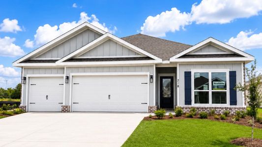 New construction Single-Family house 218 Farm Owl Dr W, Freeport, FL 32439 plan Madison - image