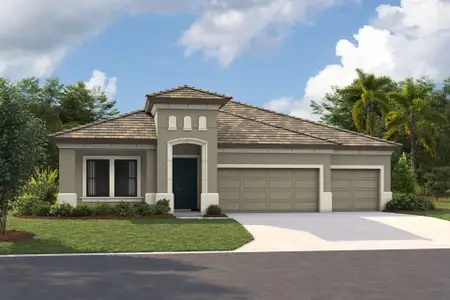 New construction Single-Family house 35072 Big Hawk Dr, Zephyrhills, FL 33541 plan Bayport I - image