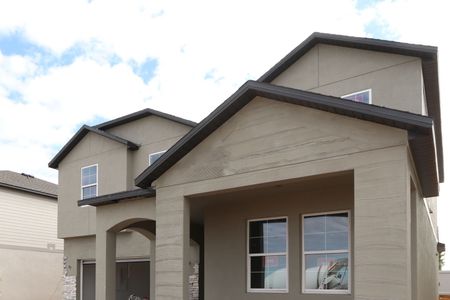 New construction Single-Family house 38326 Tobiano Loop, Dade City, FL 33525 Casanova- photo 90 90