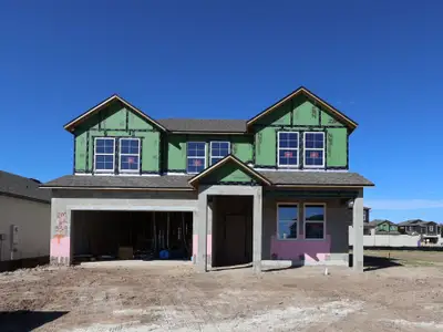 New construction Single-Family house 3179 Adams Cross Dr, Zephyrhills, FL 33540 plan Salinas - image