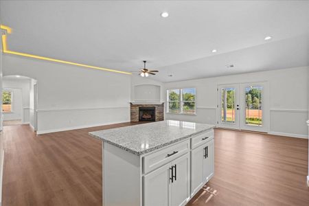 New construction Single-Family house 528 Adventure Isla Wy, Campobello, SC 29322 - image 7