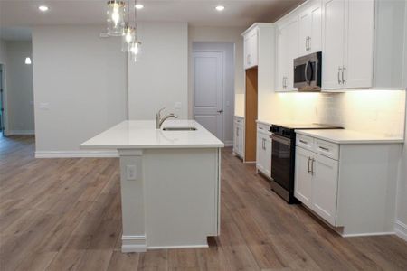 New construction Single-Family house 159 N Kinglet Ave, Hernando, FL 34442 - image 5