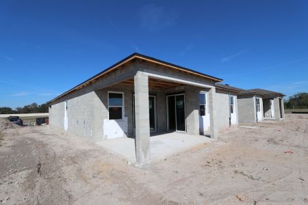 New construction Single-Family house 3142 Adams Cross Dr, Zephyrhills, FL 33540 Picasso- photo 55 55