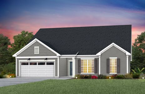 Forest Creek 48' Series Amberwood Elevation 2-CS43