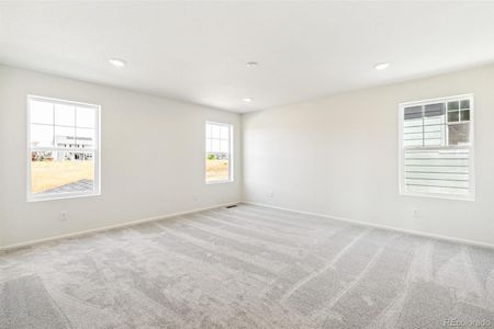 New construction Single-Family house 1871 Water Birch Way, Castle Rock, CO 80108 null- photo 12 12