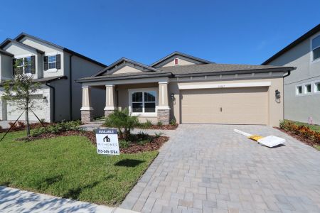 New construction Single-Family house 33227 Amling Pecan Br, Wesley Chapel, FL 33545 Newport II- photo 71 71