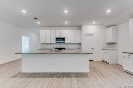 New construction Single-Family house 15031 S Nettleton Ml, San Antonio, TX 78254 null- photo 3 3