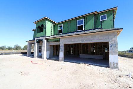 New construction Single-Family house 31222 Hayman Loop, Wesley Chapel, FL 33545 Windsor- photo 25 25