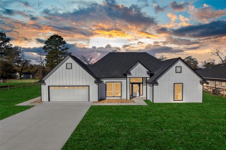 New construction Single-Family house 24630 Cavan St, Hempstead, TX 77445 - image