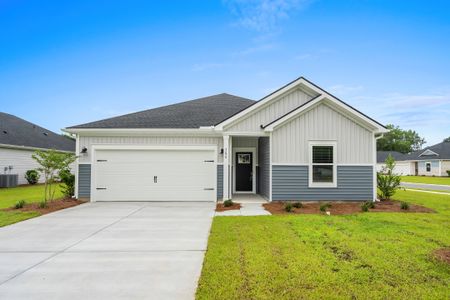 New construction Single-Family house 300 Jessamine St, Longs, SC 29568 plan Buchanan - image