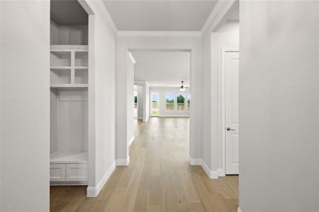 Hallway with crown molding and light hardwood / wood-style flooring