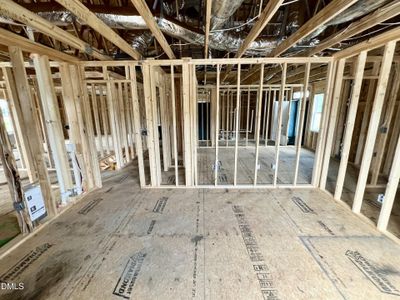New construction Single-Family house 169 Pendergrass, Princeton, NC 27569 - image