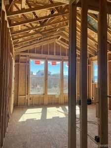 New construction Single-Family house 901 Coal Bank Trl, Castle Rock, CO 80104 Scenic Series - Aurora- photo 5 5