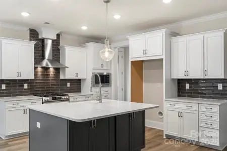 New construction Single-Family house 259 Luray Wy, Unit 443, Rock Hill, SC 29730 - image 13