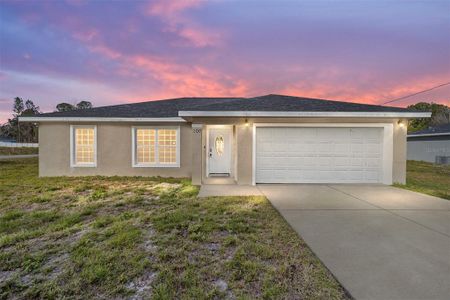 New construction Single-Family house 200 Oak Lane Run, Ocala, FL 34472 null- photo 0 0