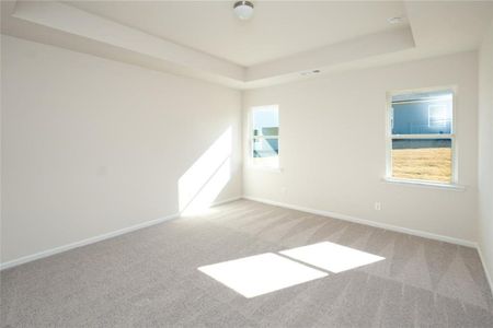 New construction Single-Family house 27 Rosebud Ln, Dallas, GA 30132 plan Augusta - image 18