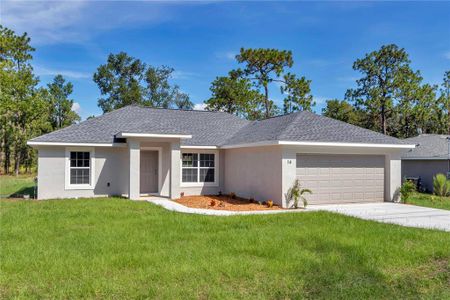New construction Single-Family house 14 Locust Loop Crse, Ocala, FL 34472 - image