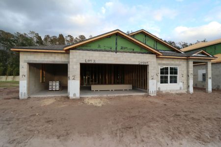 New construction Single-Family house 20339 Oriana Loop, Land O' Lakes, FL 34638 Newport II- photo 32 32