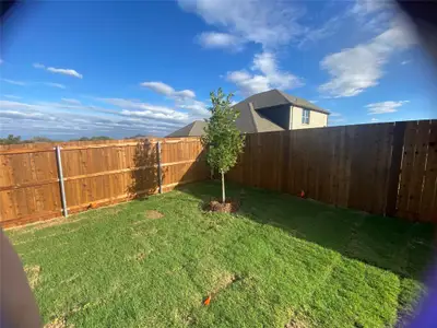 New construction Single-Family house 4300 Hummingbird Dr, Sherman, TX 75092 - image 2