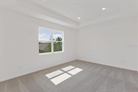 New construction Single-Family house 2257 Sirena Ln, Mount Dora, FL 32757 plan Daytona - image 8